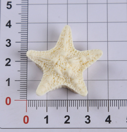 10 Pcs Starfish Resin Accessor - огляд і ціна Phone Cases Junk